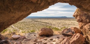 Tropical desert photograph
